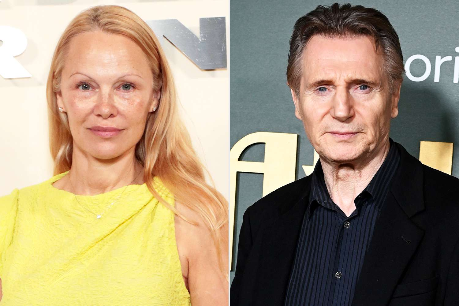 liam neeson and pamela anderson