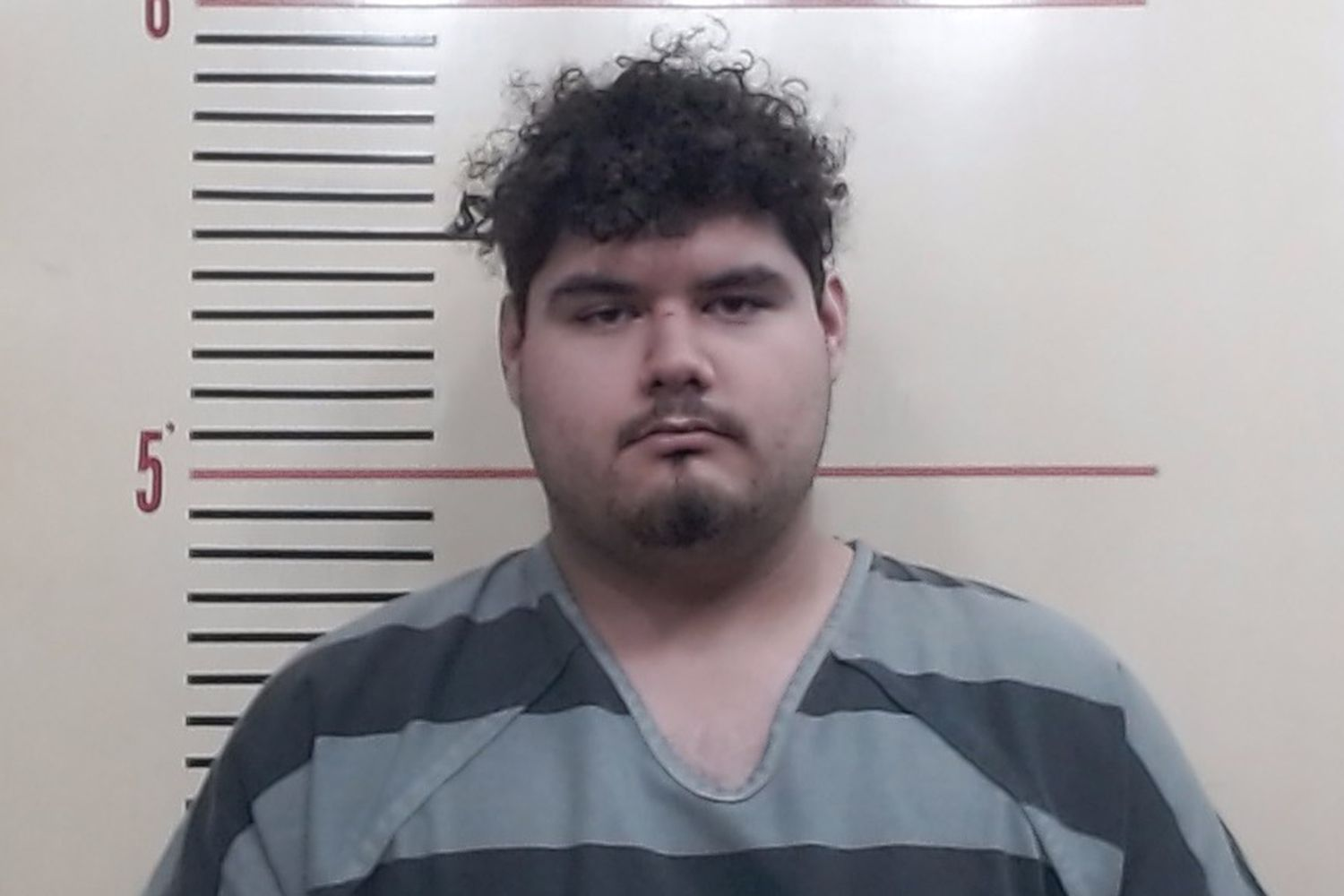 mcdonald's employee arrested for double-charging customers using personal device